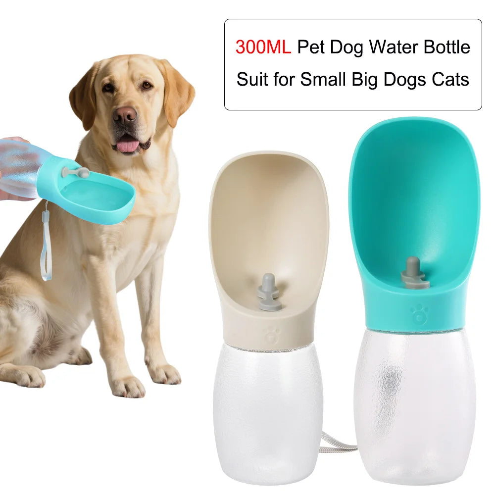 Gourde pour chien 300 ml — VADROUF ToutouFlask