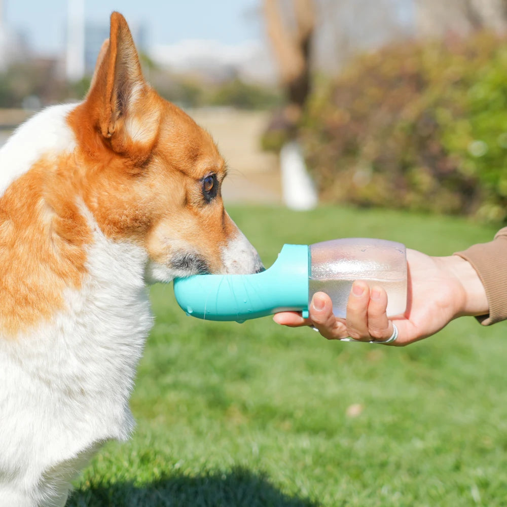 Gourde pour chien 300 ml — VADROUF ToutouFlask